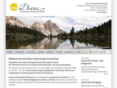 Diana Consulting